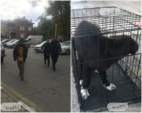 Оставиха Ангелин в ареста! Малтретираното куче е спасено и изведено от къщата на садиста