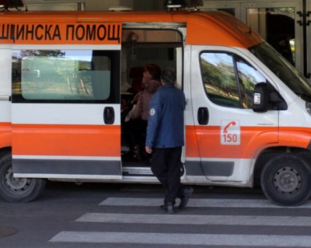 Възрастен мъж издъхна, затиснат от дърво, край Кърджали