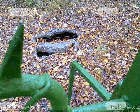 Немарливост застрашава децата в пловдивско училище – зеят дупки, дървета са изгнили