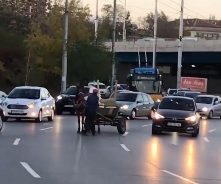 Стреснат кон с каруца блокира столично кръстовище в час пик