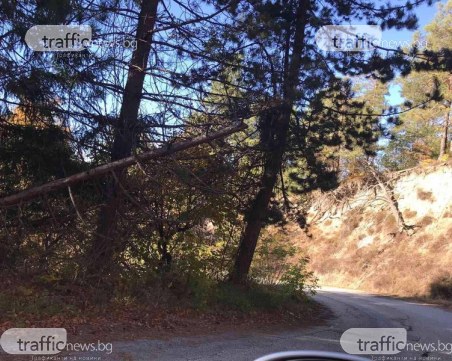 Две пазарджишки села с жалба до министъра заради опасен път