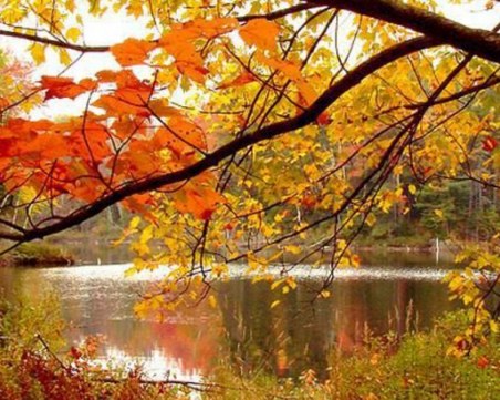 Октомври е бил най-топлият в света