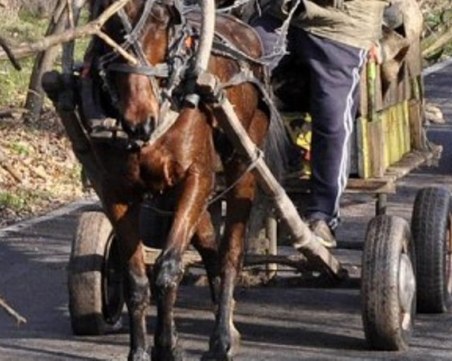 Полицаи преследваха каруцар във Велинград, избягал по време на проверка