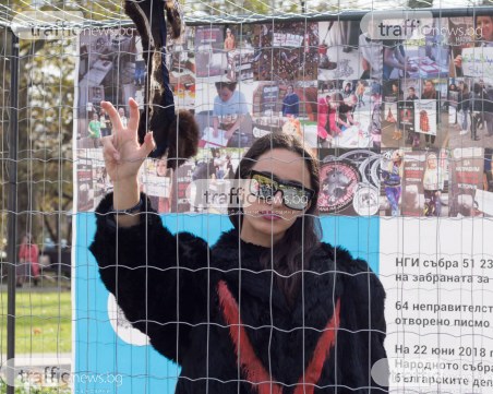 Диляна Попова и Дидо от D2 влизат в клетка пред парламента заради норките