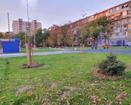 Жалко! Колко струва да откраднеш борче от центъра на Пловдив?