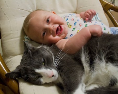 Котка-герой спаси бебе от падане по стълбите