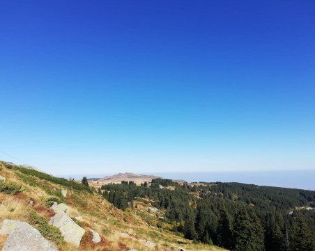 Новата гора на София: Започва акция за залесяване, автобуси превозват доброволците в столицата