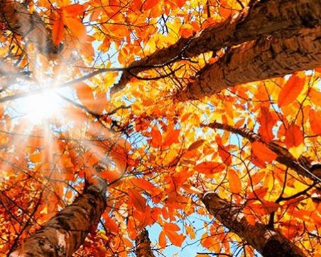 Пролетно време през ноември - слънце, вятър и малко дъжд