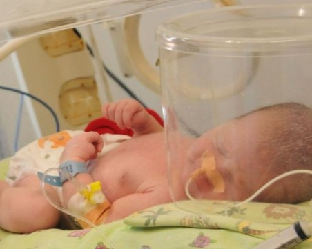 Студио Х със стволови клетки на 7500 наши бебета: Майки ги търсят от Полша до Португалия