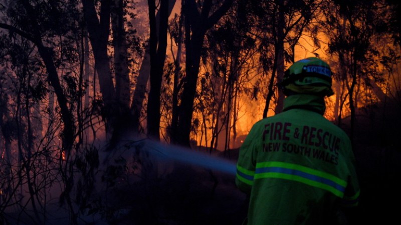 Невиждани пожари опустошават Австралия