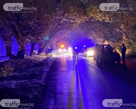 Кола се заби в дърво край Пловдив, водачът е тежко пострадал