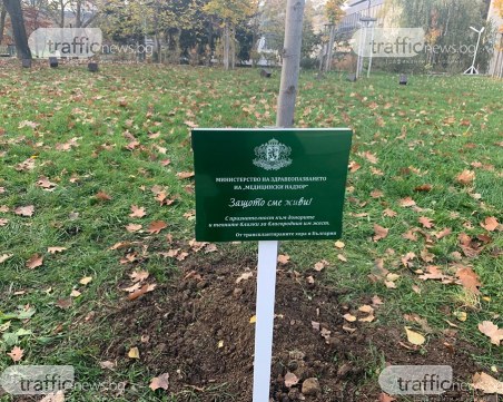 Почетоха с лирово дърво край НДК донорите, дарили органите си