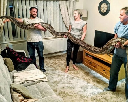 Семейството, което отглежда 7-метров питон в дома си