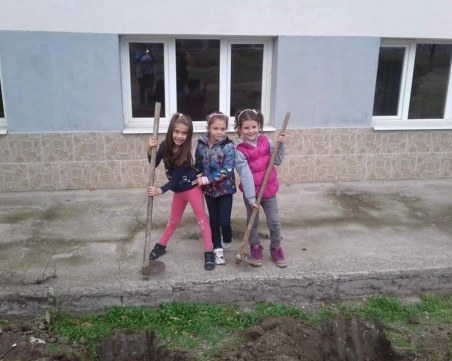 Зелена инициатива завладя Брестовица, жителите засадиха над 100 дръвчета