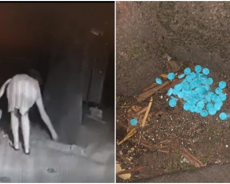 Това ли е жената, която постави отрова и уби лабрадора Харли в Бургас?