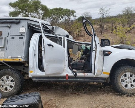 Жираф падна върху джип с туристи в ЮАР, предизвика катастрофа