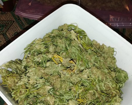 Разбиха депо с 22 хил. дози марихуана в Бургас, полицията готви нови акции