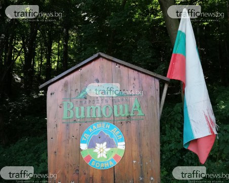 Връщат 10 декара от природен парк 