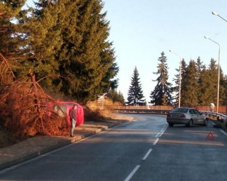 Катастрофа в Пампорово, кола се обърна край пътя