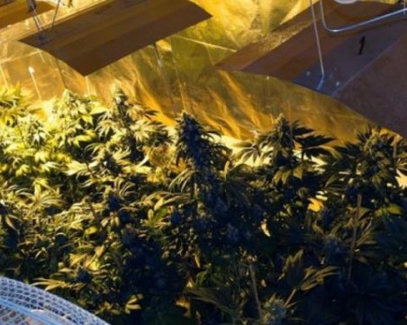 Разбиха най-голямата нарколаборатория в Русия