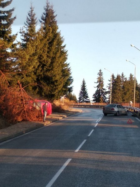 Катастрофа в Пампорово, кола се обърна край пътя