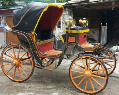 Асеновградчани бранят последния си файтон, возил американския посланик