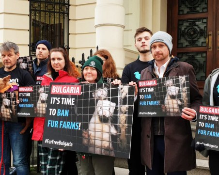 НЕ на фермите за ценна кожа в България казаха хора пред 7 посолства в европейски столици