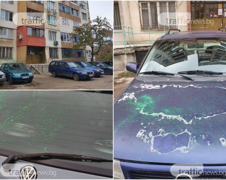Вандали омазаха със зелена боя 6 коли в столичния квартал