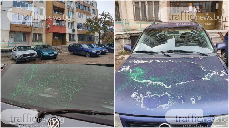 Вандали омазаха със зелена боя 6 коли в столичния квартал 