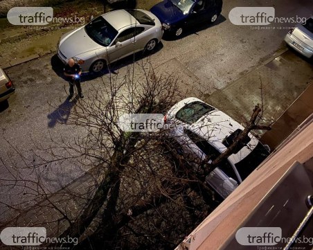 Пловдивчанин за сгромолясалото се дърво: Чу се невероятен трясък, много се уплашихме!