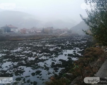 След като хиляди риби измряха: Пуснаха водата във Въча