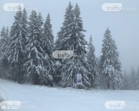 Снежната покривка на връх Снежанка вече е 20 см