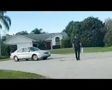 Лабрадор подкара автомобил и 