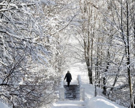 Мека зима в Европа и у нас, сочи световната прогноза