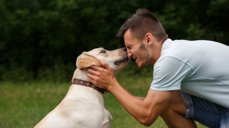Германец почина след целувка с кучето му