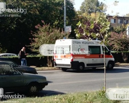 Едри кучета нахапаха 43-годишен мъж от софийското село Бистрица