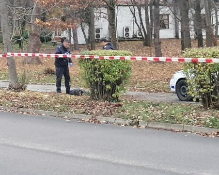 48-годишен убит с нож в Борисовата градина