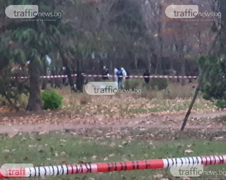 Клошар убил и отрязал най-милото на любовника си в Борисовата градина