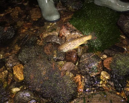 Напоителни системи след обвиненията за Въча: Осигурили сме необходимото водоподаване