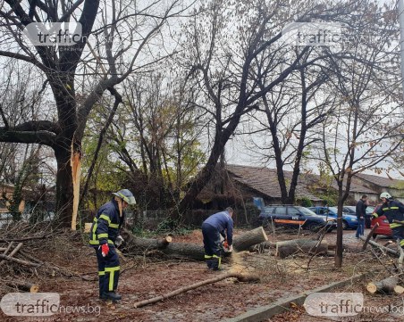 Светкавични реакции на 6-то РУ и 5-то РСПБЗН Пловдив! Освободиха смачканите коли от дърво