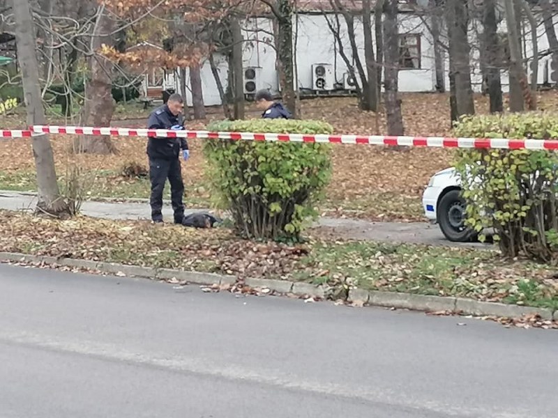 48-годишен убит с нож в Борисовата градина