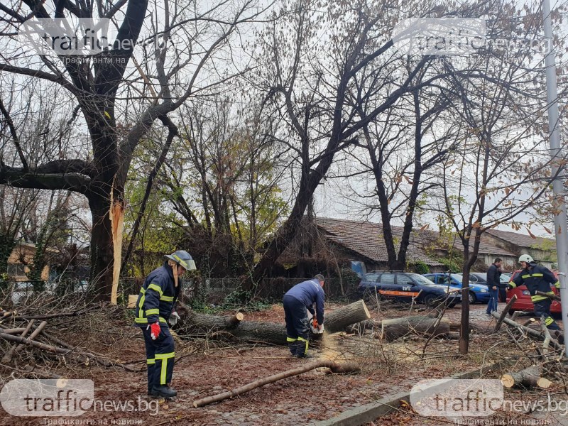 Светкавични реакции на 6-то РУ и 5-то РСПБЗН Пловдив! Освободиха смачканите коли от дърво