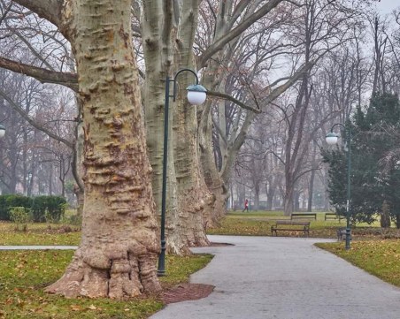 Къде да отидем в сряда в града под тепетата?