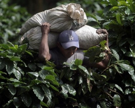 Кафето поскъпна с цели 20% на борсите