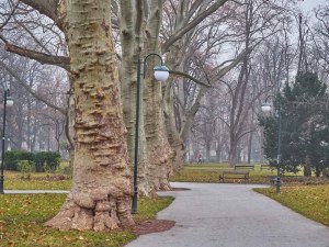 Къде да отидем в сряда в града под тепетата?