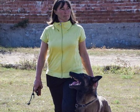 Броят на бездомните животни расте заради свръхпопулацията на домашните