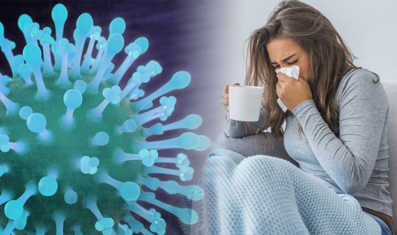 Кои грипни вируси ще ни мъчат тази зима и къде ще ни ударят
