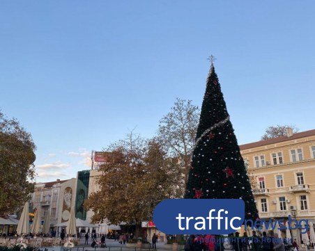 Коледно настроение в Пловдив! Монтират 13-метровата елха