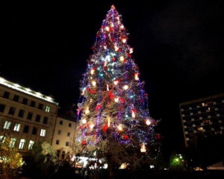 Светлините на коледната елха озаряват градинката пред НДК