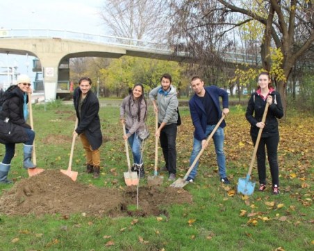 Ентусиасти залесяват Гребната